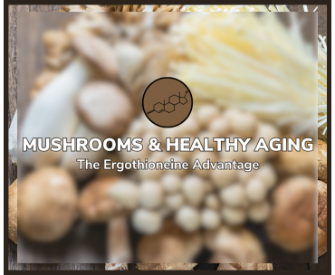 Mushrooms and Healthy Aging